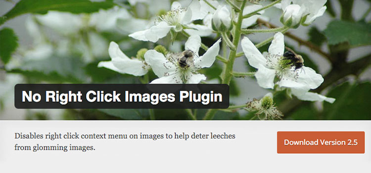No right click images plugin