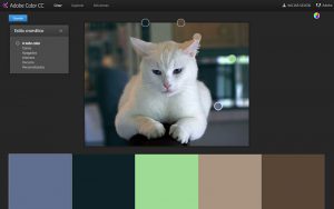 fotos combinaciones de colores Adobe Kuler