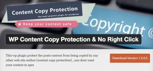 WP Copy protection & no right click