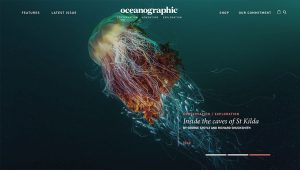 10 mejores ecommerce de julio Oceanographic Magazine