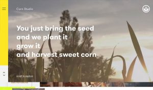 tendencias en diseño web de 2019 Corn