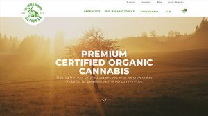 Los mejores e-commerce Green Organic Dutchman