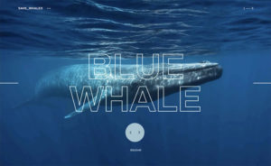 Las 10 mejores webs del verano y tiendas online save whales